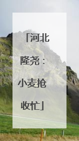 河北隆尧：小麦抢收忙